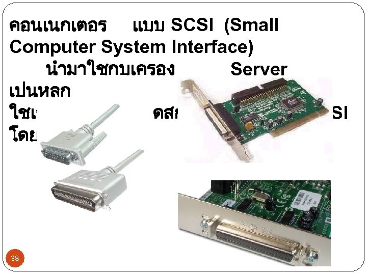 คอนเนกเตอร แบบ SCSI (Small Computer System Interface) นำมาใชกบเครอง Server เปนหลก ใชเชอมตอกบฮารดดสกแบบ SCSI โดยตรง 38
