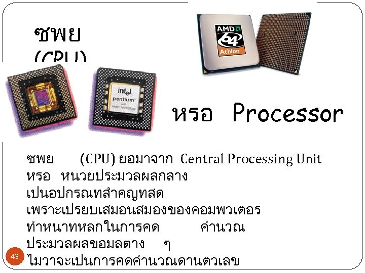 ซพย (CPU) หรอ Processor 43 ซพย (CPU) ยอมาจาก Central Processing Unit หรอ หนวยประมวลผลกลาง เปนอปกรณทสำคญทสด