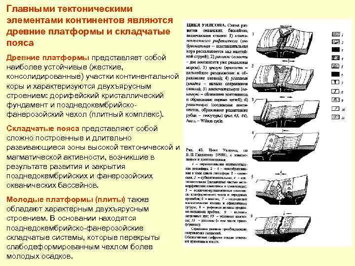 Главными тектоническими элементами континентов являются древние платформы и складчатые пояса Древние платформы представляет собой