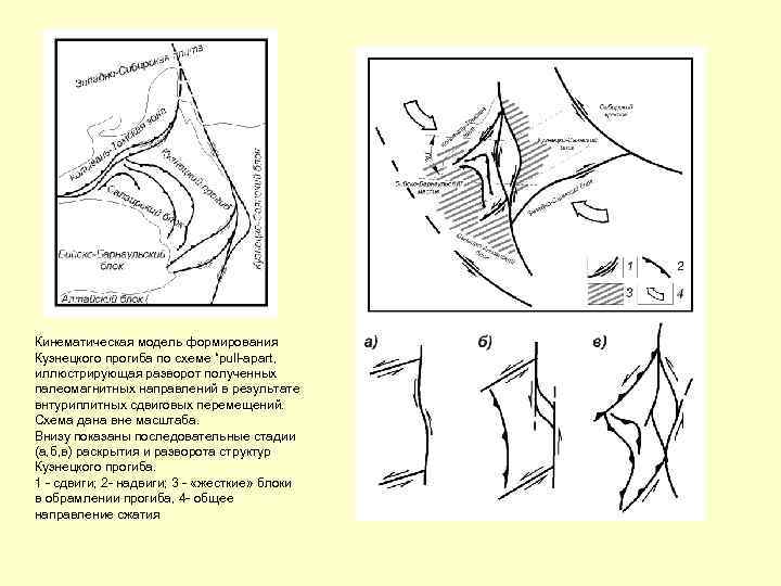Кинематическая модель формирования Кузнецкого прогиба по схеме “pull-apart, иллюстрирующая разворот полученных палеомагнитных направлений в