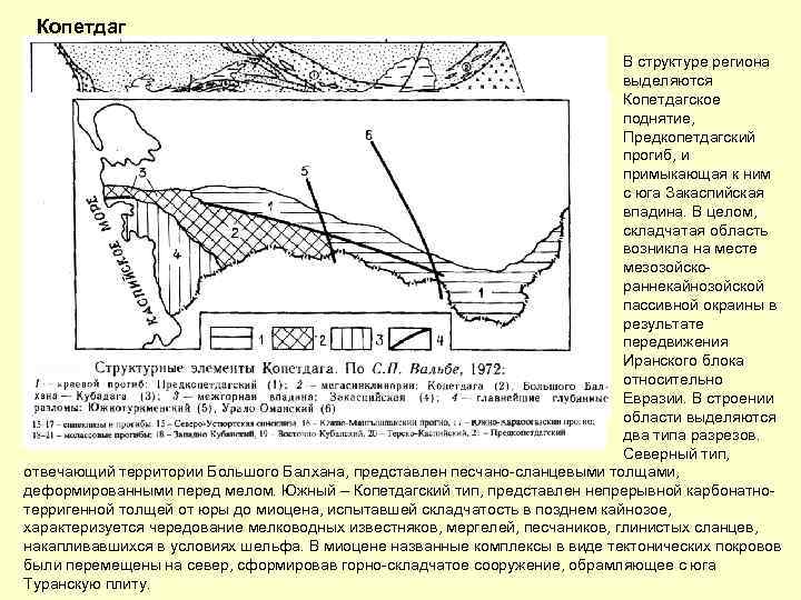 Копетдаг В структуре региона выделяются Копетдагское поднятие, Предкопетдагский прогиб, и примыкающая к ним с