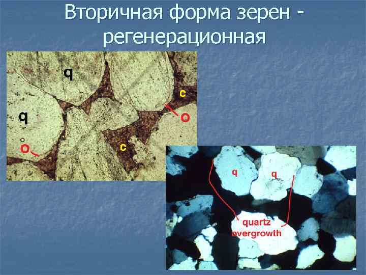 Схема абсорбции петрография