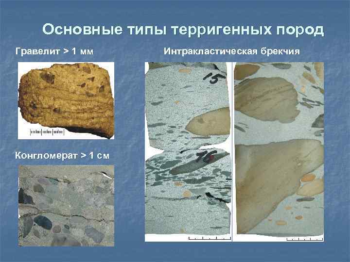 Формирование карбонатных осадочных пород. Терригенные и карбонатные породы. Обломочные карбонатные породы. Обломочные отложения осадочные горные породы. Терригенные и карбонатные породы коллекторы.