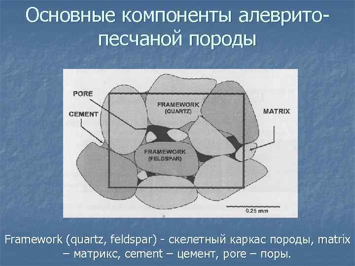 Схема абсорбции петрография