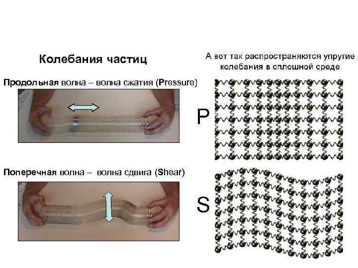 Частица колебания. Колебания частиц. Колебания частиц в продольной волне. Волны сжатия и сдвига. Колебание частиц в поперечной волне.