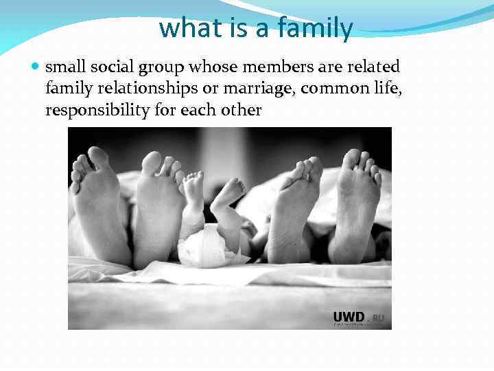 what is a family small social group whose members are related family relationships or