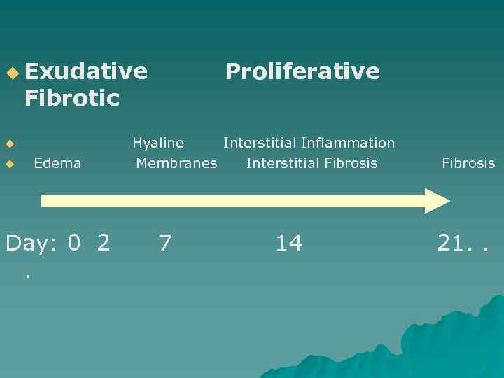 u Exudative Fibrotic Proliferative Hyaline Interstitial Inflammation u Edema Membranes Interstitial Fibrosis u Day: