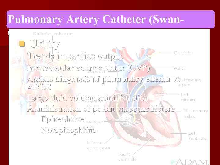 Pulmonary Artery Catheter (Swan. Ganz) n Utility Trends in cardiac output Intravascular volume status