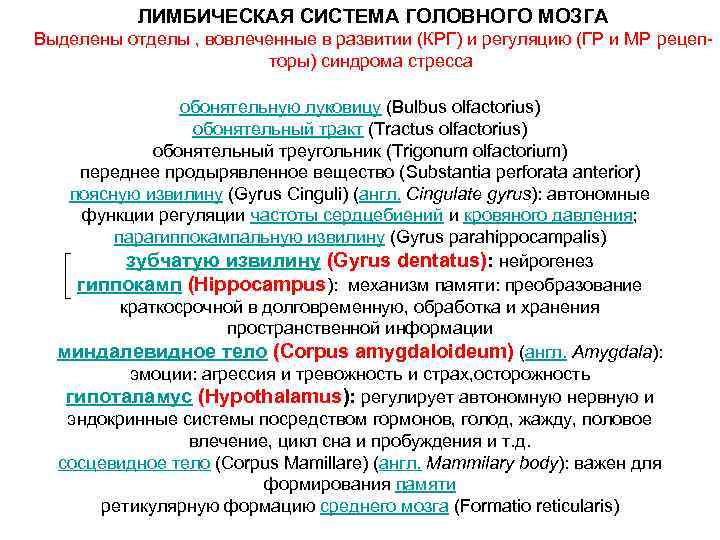 ЛИМБИЧЕСКАЯ СИСТЕМА ГОЛОВНОГО МОЗГА Выделены отделы , вовлеченные в развитии (КРГ) и регуляцию (ГР