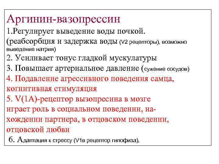 Аргинин-вазопрессин 1. Регулирует выведение воды почкой. (реабсорбция и задержка воды (V 2 рецепторы), возможно