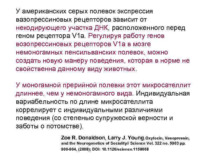 У американских серых полевок экспрессия вазопрессиновых рецепторов зависит от некодирующего участка ДНК, расположенного перед