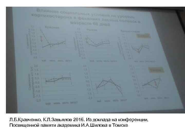 Л. Б. Кравченко, К. Л. Завьялов 2016. Из доклада на конференции, Посвященной памяти академика