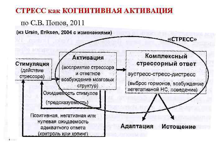 СТРЕСС как КОГНИТИВНАЯ АКТИВАЦИЯ по С. В. Попов, 2011 