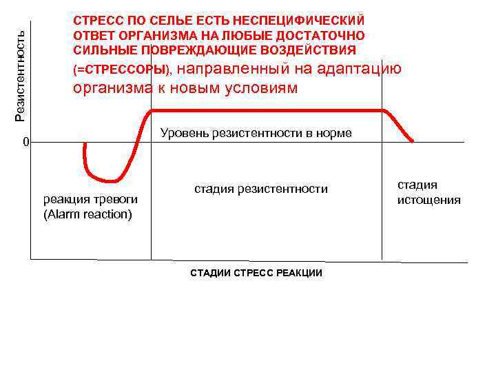 Резистентность СТРЕСС ПО СЕЛЬЕ ЕСТЬ НЕСПЕЦИФИЧЕСКИЙ ОТВЕТ ОРГАНИЗМА НА ЛЮБЫЕ ДОСТАТОЧНО СИЛЬНЫЕ ПОВРЕЖДАЮЩИЕ ВОЗДЕЙСТВИЯ