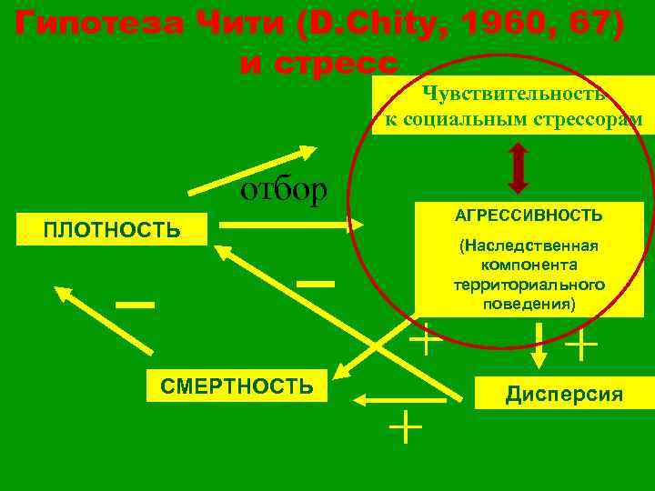 Гипотеза Чити (D. Chity, 1960, 67) и стресс Чувствительность к социальным стрессорам отбор ПЛОТНОСТЬ