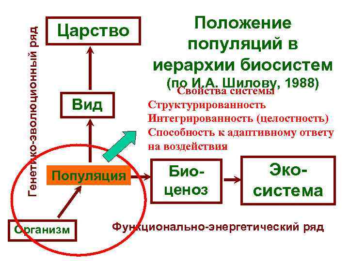 Генетико-эволюционный ряд Царство (по И. А. Шилову, 1988) Свойства системы Вид Структурированность Интегрированность (целостность)