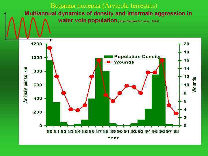 Водяная полевка (Arvicola terrestris) Multiannual dynamics of density and intermale aggression in water vole