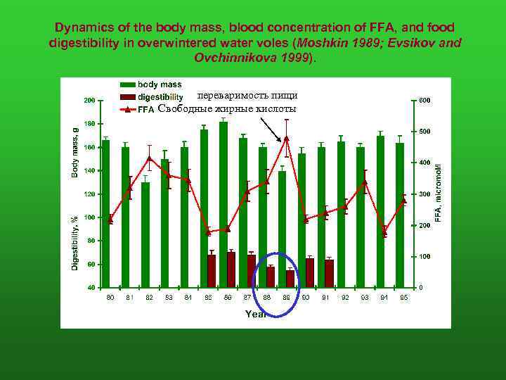 Dynamics of the body mass, blood concentration of FFA, and food digestibility in overwintered