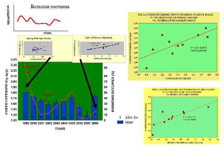 численность Большая песчанка годы плотность стресс 
