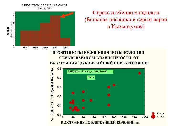 Стресс и обилие хищников (Большая песчанка и серый варан в Кызылкумах) 