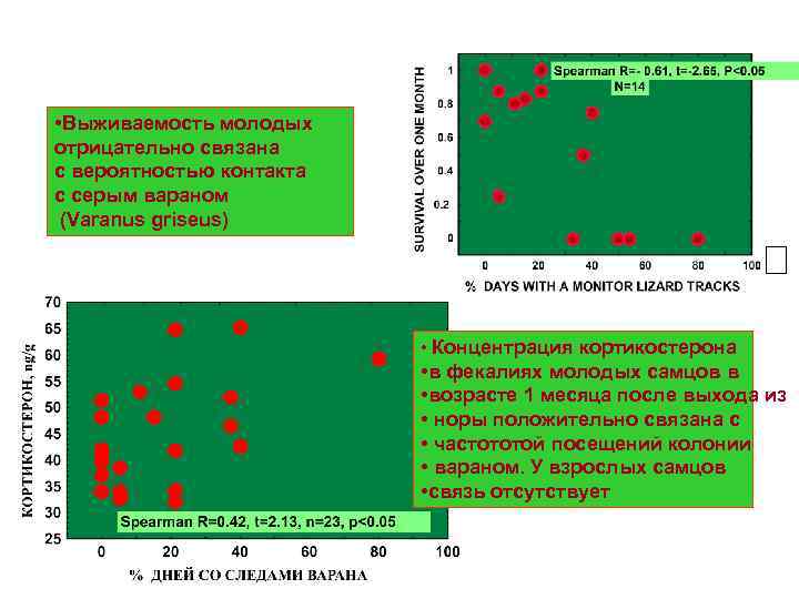  • Выживаемость молодых отрицательно связана с вероятностью контакта с серым вараном (Varanus griseus)