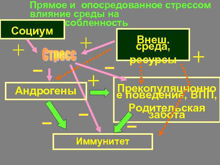 Прямое и опосредованное стрессом влияние среды на приспособленность Социум Внеш. среда, ресурсы Андрогены Прекопуляционно