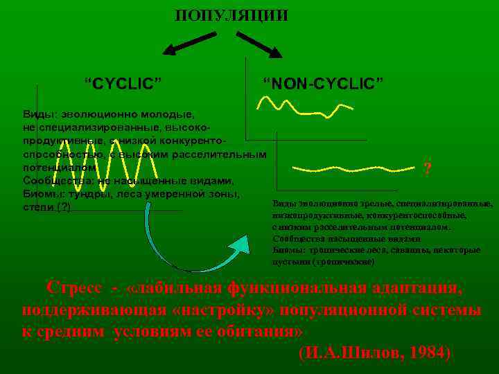 ПОПУЛЯЦИИ “CYCLIC” “NON-CYCLIC” Виды: эволюционно молодые, не специализированные, высокопродуктивные, с низкой конкурентоспособностью, с высоким