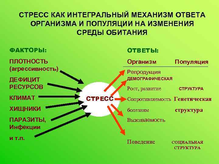 СТРЕСС КАК ИНТЕГРАЛЬНЫЙ МЕХАНИЗМ ОТВЕТА ОРГАНИЗМА И ПОПУЛЯЦИИ НА ИЗМЕНЕНИЯ СРЕДЫ ОБИТАНИЯ ФАКТОРЫ: ОТВЕТЫ: