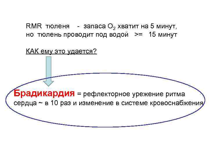 RMR тюленя - запаса О 2 хватит на 5 минут, но тюлень проводит под