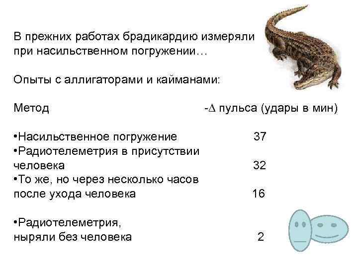В прежних работах брадикардию измеряли при насильственном погружении… Опыты с аллигаторами и кайманами: Метод