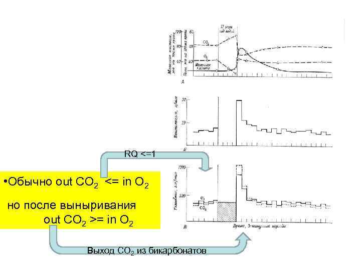 RQ <=1 • Обычно out CO 2 <= in O 2 но после выныривания
