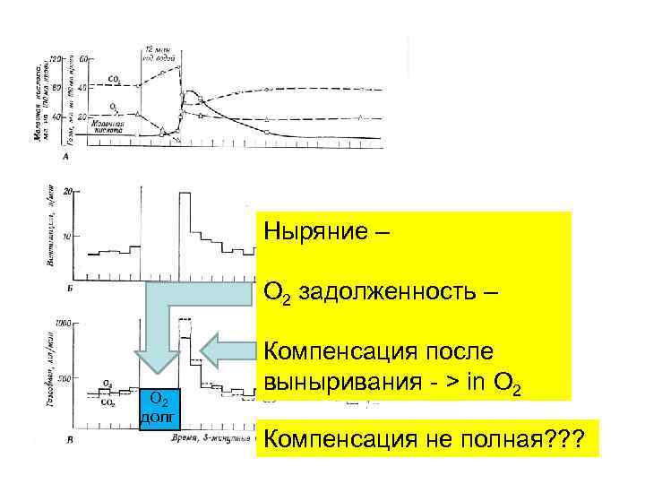 Ныряние – О 2 задолженность – О 2 долг Компенсация после выныривания - >
