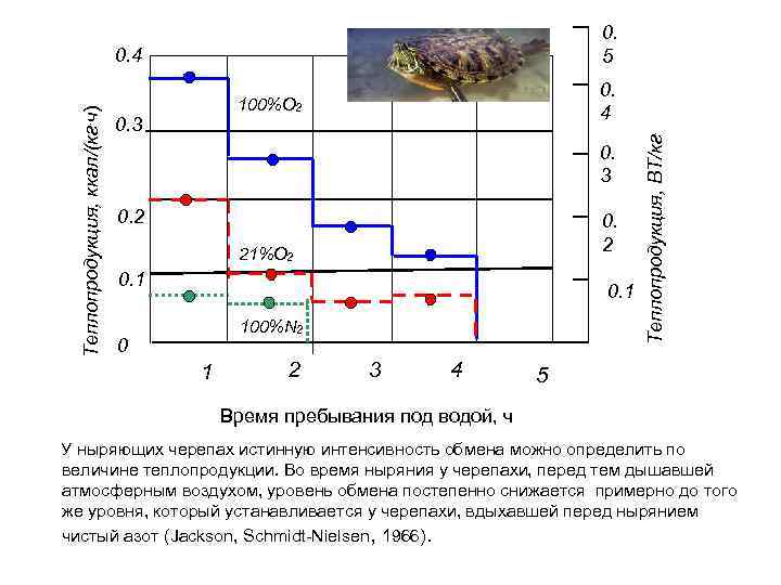 0. 5 0. 4 100%О 2 0. 3 0. 2 21%О 2 0. 1