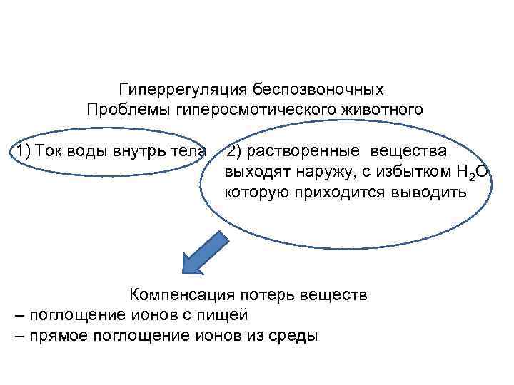  Гиперрегуляция беспозвоночных Проблемы гиперосмотического животного 1) Ток воды внутрь тела 2) растворенные вещества