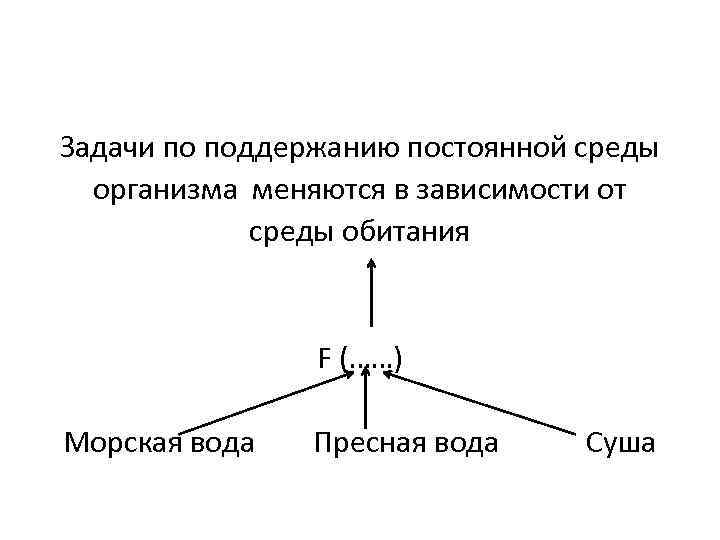 Постоянная среда организма