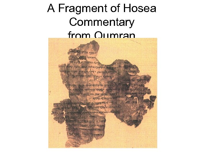 A Fragment of Hosea Commentary from Qumran 