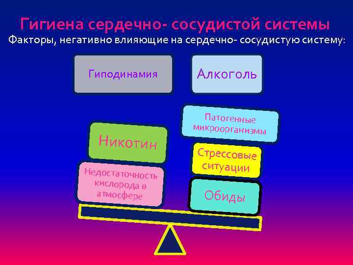 Гигиена сердечно- сосудистой системы Факторы, негативно влияющие на сердечно- сосудистую систему: Гиподинамия Никотин Недостаточность