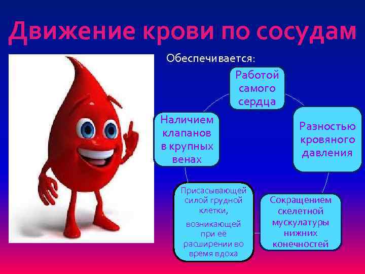 Движение крови по сосудам Обеспечивается: Работой самого сердца Наличием клапанов в крупных венах Присасывающей