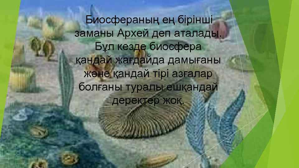 Биосфераның ең бірінші заманы Архей деп аталады. Бұл кезде биосфера қандай жағдайда дамығаны және