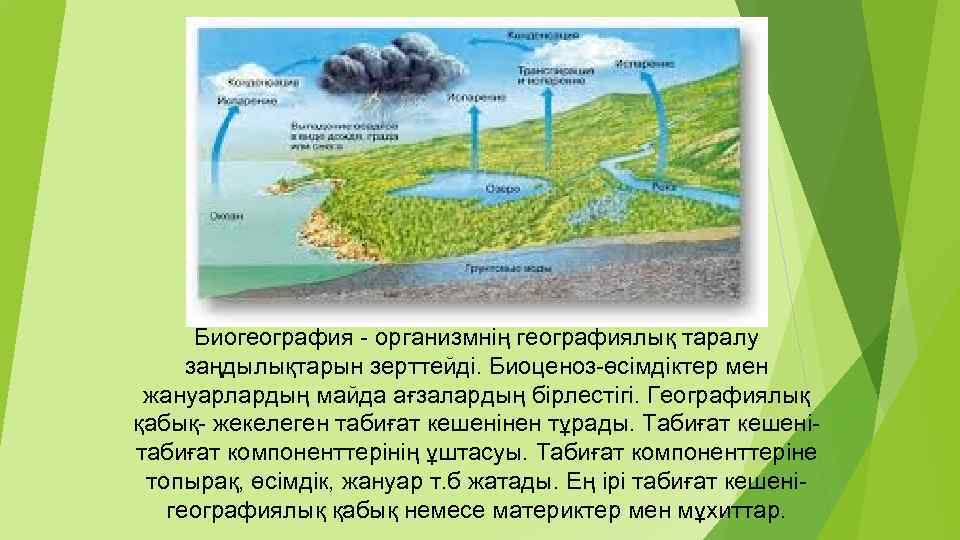 Биогеография - организмнің географиялық таралу заңдылықтарын зерттейді. Биоценоз-өсімдіктер мен жануарлардың майда ағзалардың бірлестігі. Географиялық