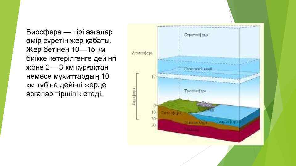 Рассмотрите рисунок изображающий строение биосферы