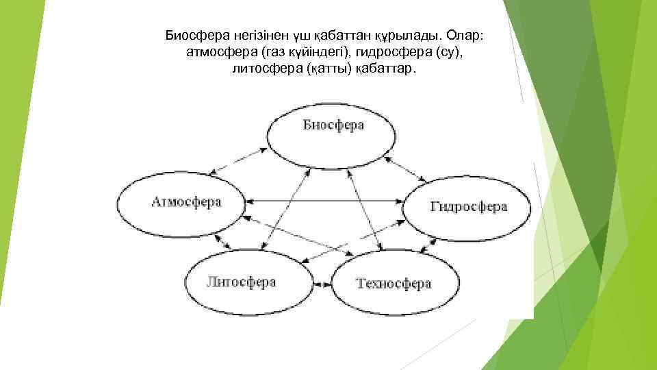 Биосфера негізінен үш қабаттан құрылады. Олар: атмосфера (газ күйіндегі), гидросфера (су), литосфера (қатты) қабаттар.