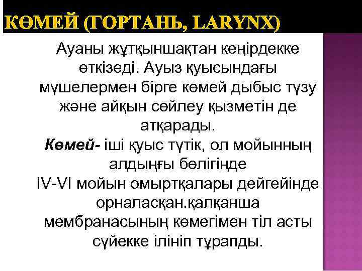КӨМЕЙ (ГОРТАНЬ, LARYNX) Ауаны жұтқыншақтан кеңірдекке өткізеді. Ауыз қуысындағы мүшелермен бірге көмей дыбыс түзу