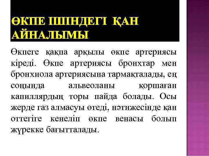 ӨКПЕ ІШІНДЕГІ ҚАН АЙНАЛЫМЫ Өкпеге қақпа арқылы өкпе артериясы кіреді. Өкпе артериясы бронхтар мен