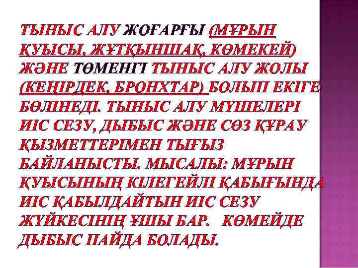 ТЫНЫС АЛУ ЖОҒАРҒЫ (МҰРЫН ҚУЫСЫ, ЖҰТҚЫНШАҚ, КӨМЕКЕЙ) ЖӘНЕ ТӨМЕНГІ ТЫНЫС АЛУ ЖОЛЫ (КЕҢІРДЕК, БРОНХТАР)