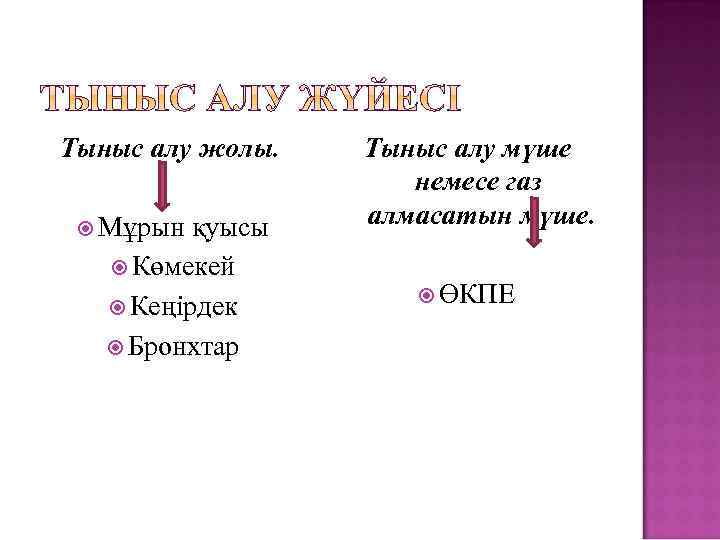 Тыныс алу жолы. Мұрын қуысы Көмекей Кеңірдек Бронхтар Тыныс алу мүше немесе газ алмасатын