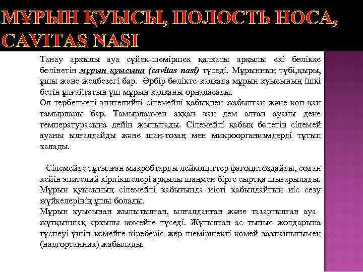 МҰРЫН ҚУЫСЫ, ПОЛОСТЬ НОСА, CAVITAS NASI Танау арқылы ауа сүйек-шеміршек қалқасы арқылы екі бөлікке