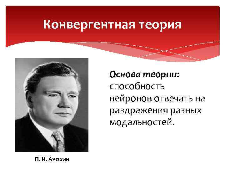 Конвергентная теория Основа теории: способность нейронов отвечать на раздражения разных модальностей. П. К. Анохин
