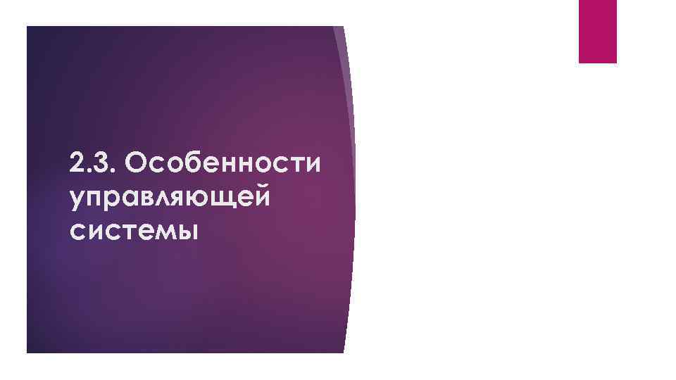 2. 3. Особенности управляющей системы 