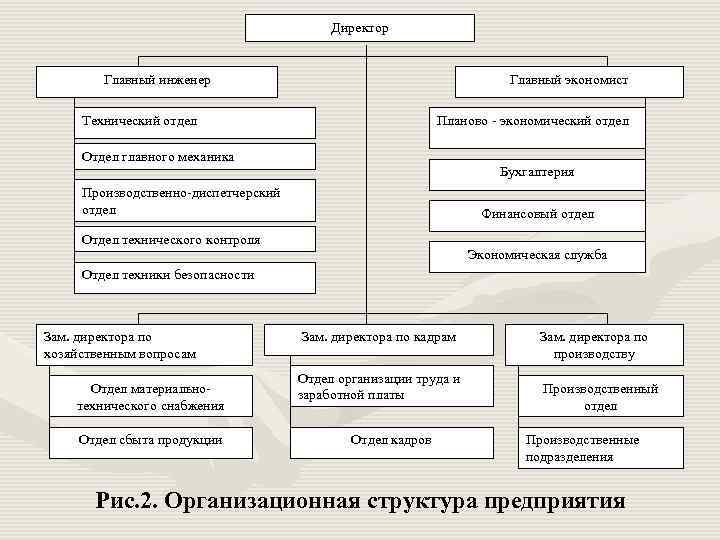 Директор Главный инженер Главный экономист Планово - экономический отдел Технический отдел Отдел главного механика